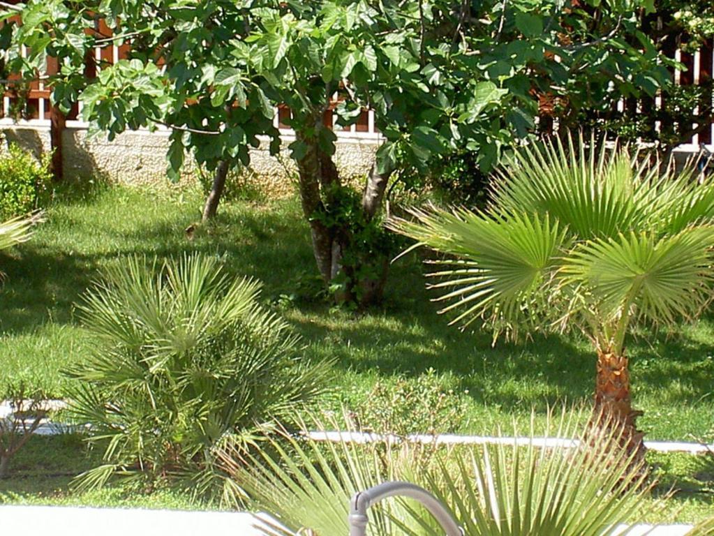 Baia Del Sole Hotel Паестум Екстериор снимка